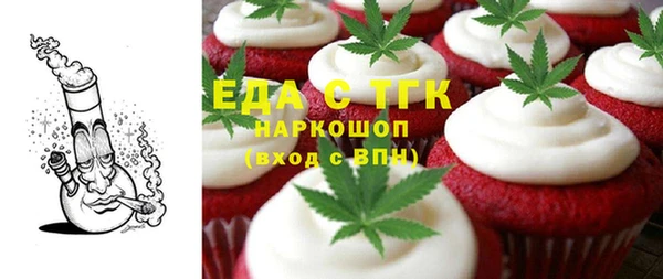 гашик Алексин