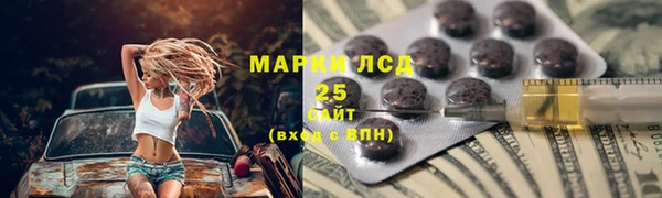 ГАЛЛЮЦИНОГЕННЫЕ ГРИБЫ Алзамай