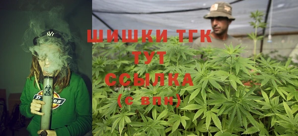 гашик Алексин