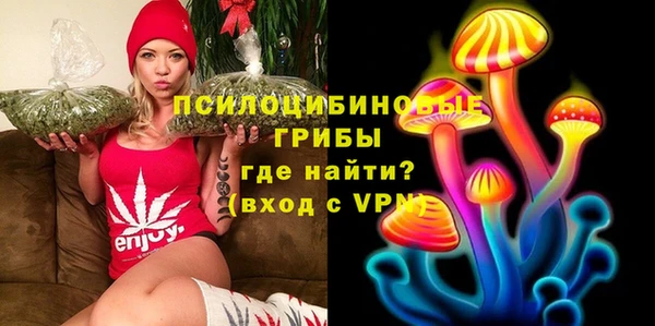гашик Алексин