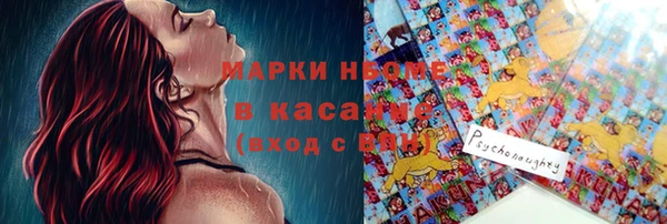 гашик Алексин