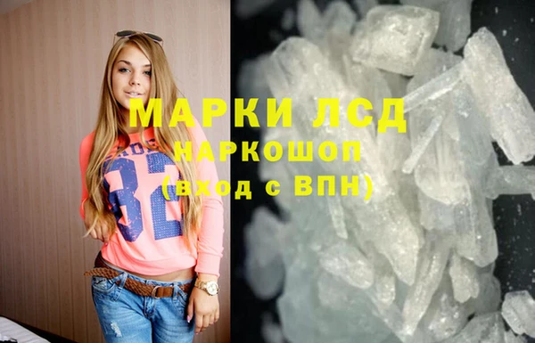 гашик Алексин
