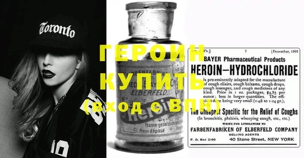 гашик Алексин