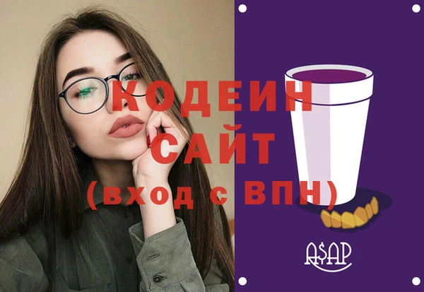 гашик Алексин